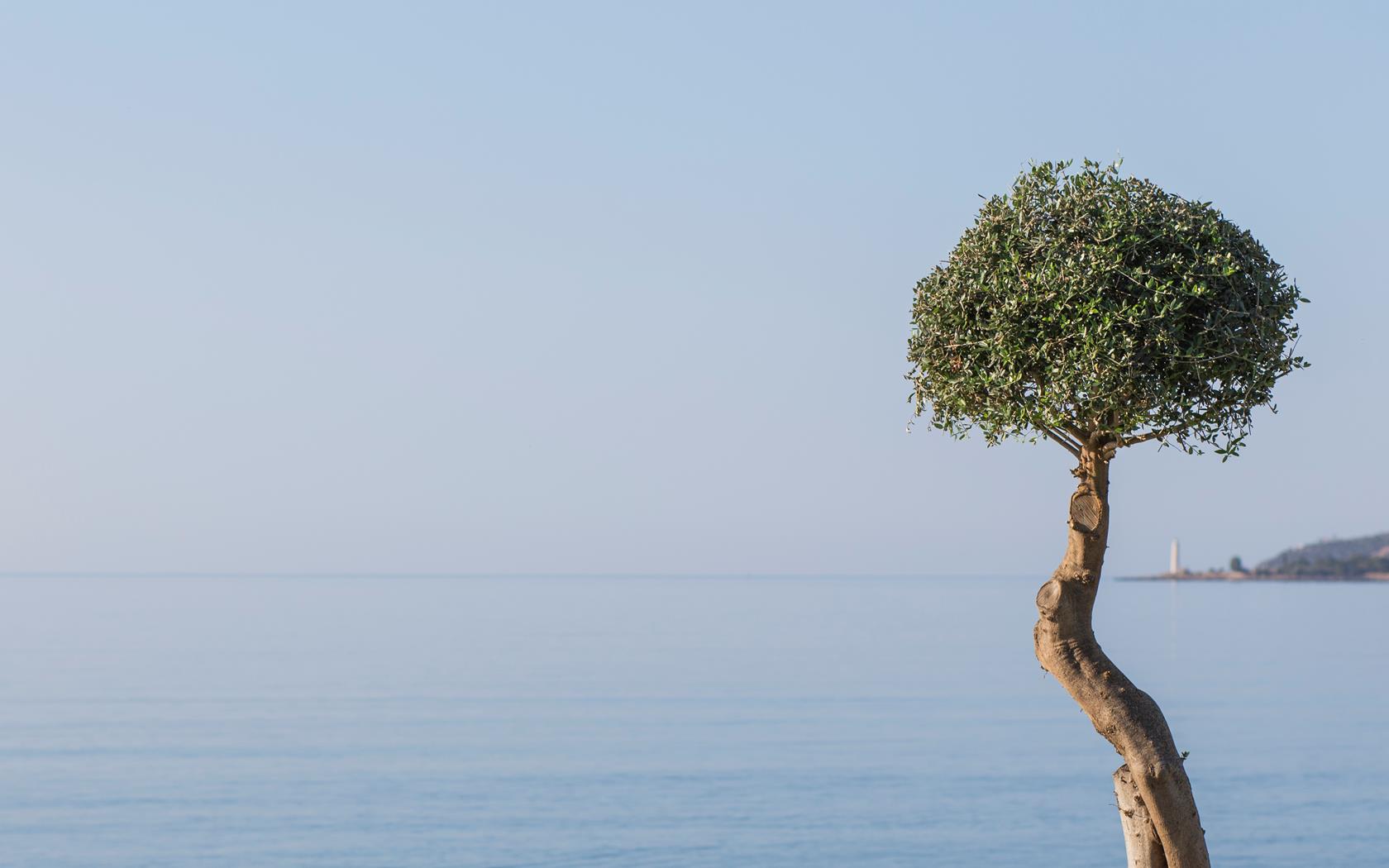 Mareggio Exclusive Residences & Suites