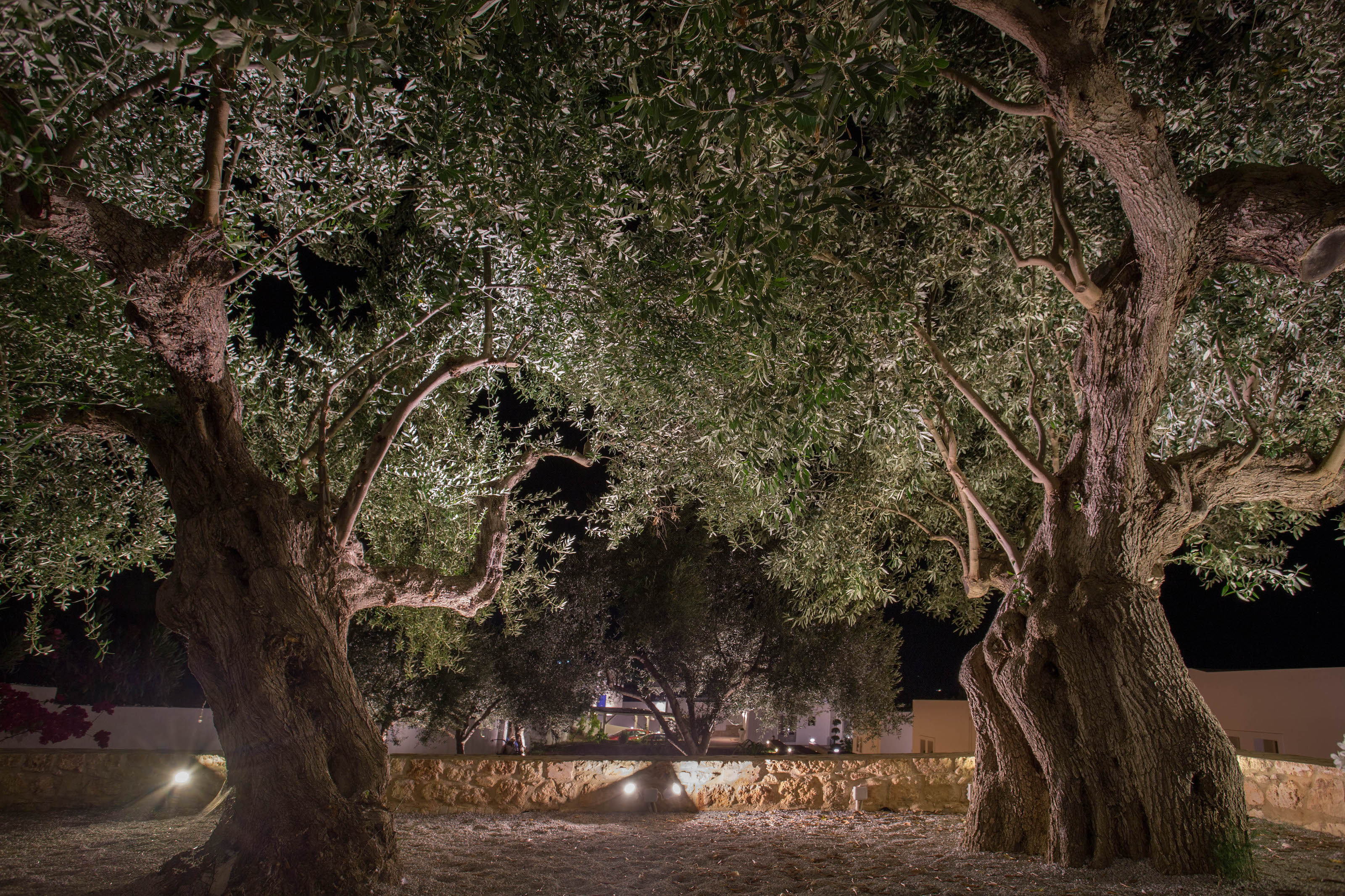 Mareggio Exclusive Residences & Suites