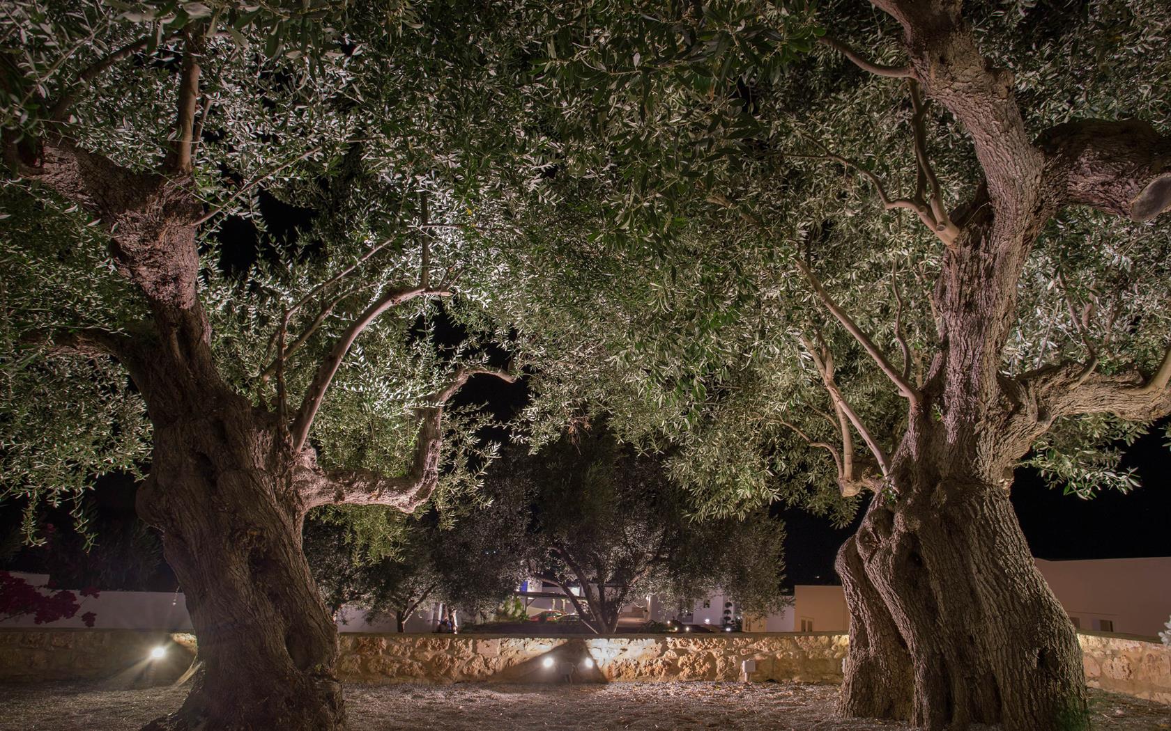 Mareggio Exclusive Residences & Suites